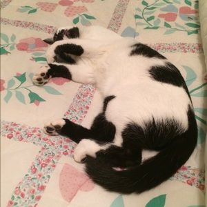 Meet your Posher, Ellie